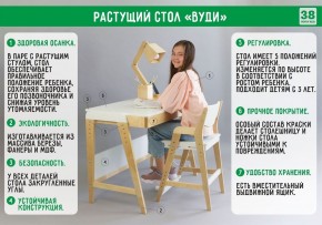 Комплект растущий стол и стул с чехлом 38 попугаев «Вуди» (Серый, Береза, Салют) в Можге - mozhga.mebel-74.com | фото