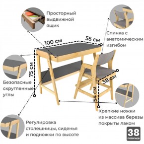 Комплект растущий стол и стул с чехлом 38 попугаев «Вуди» (Серый, Береза, Серый) в Можге - mozhga.mebel-74.com | фото