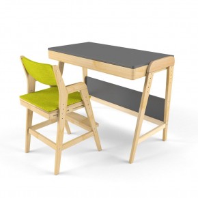 Комплект растущий стол и стул с чехлом 38 попугаев «Вуди» (Серый, Без покрытия, Грин) в Можге - mozhga.mebel-74.com | фото