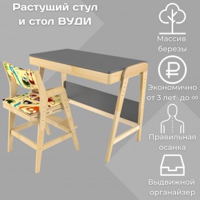 Комплект растущий стол и стул с чехлом 38 попугаев «Вуди» (Серый, Без покрытия, Монстры) в Можге - mozhga.mebel-74.com | фото