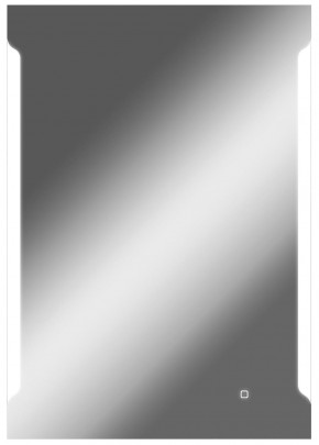 Зеркало Оттава 1000х700 с подсветкой Домино (GL7028Z) в Можге - mozhga.mebel-74.com | фото